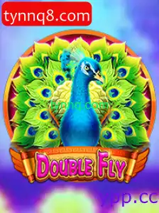 DoubleFly