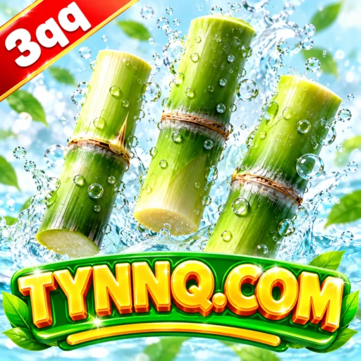 tynnq.com